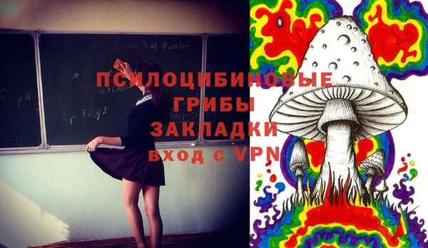 мдпв Армянск