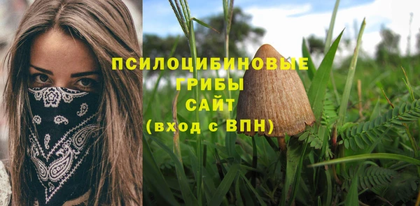 герыч Пересвет