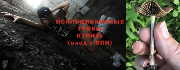 бутират Переславль-Залесский